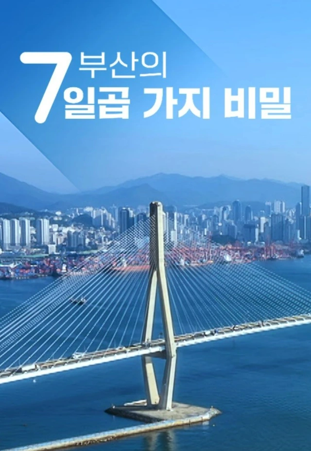 부산의 일곱 가지 비밀