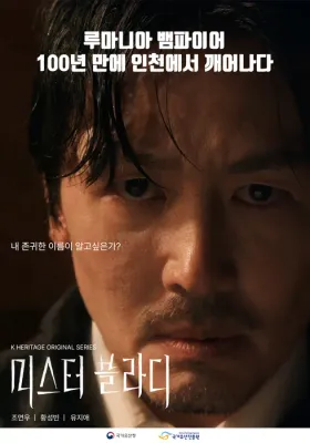 미스터 블라디