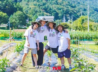 콩 심은 데 콩 나고 팥 심은 데 팥 난다 (콩콩팥팥) 다시보기 - 키노라이츠