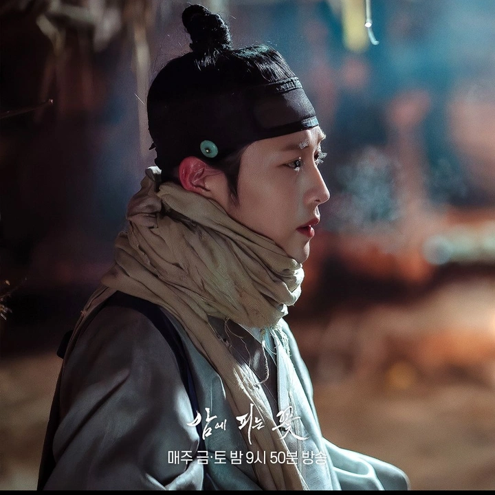 밤에 피는꽃 새 스틸사진 | 키노라이츠 커뮤니티